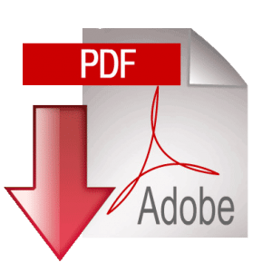 pdf pdf